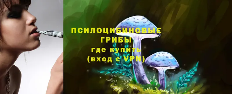 сколько стоит  Верхний Уфалей  Галлюциногенные грибы MAGIC MUSHROOMS 